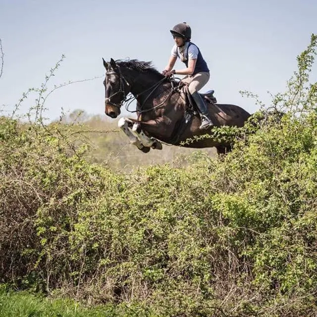 Abbie at Heart artwork still